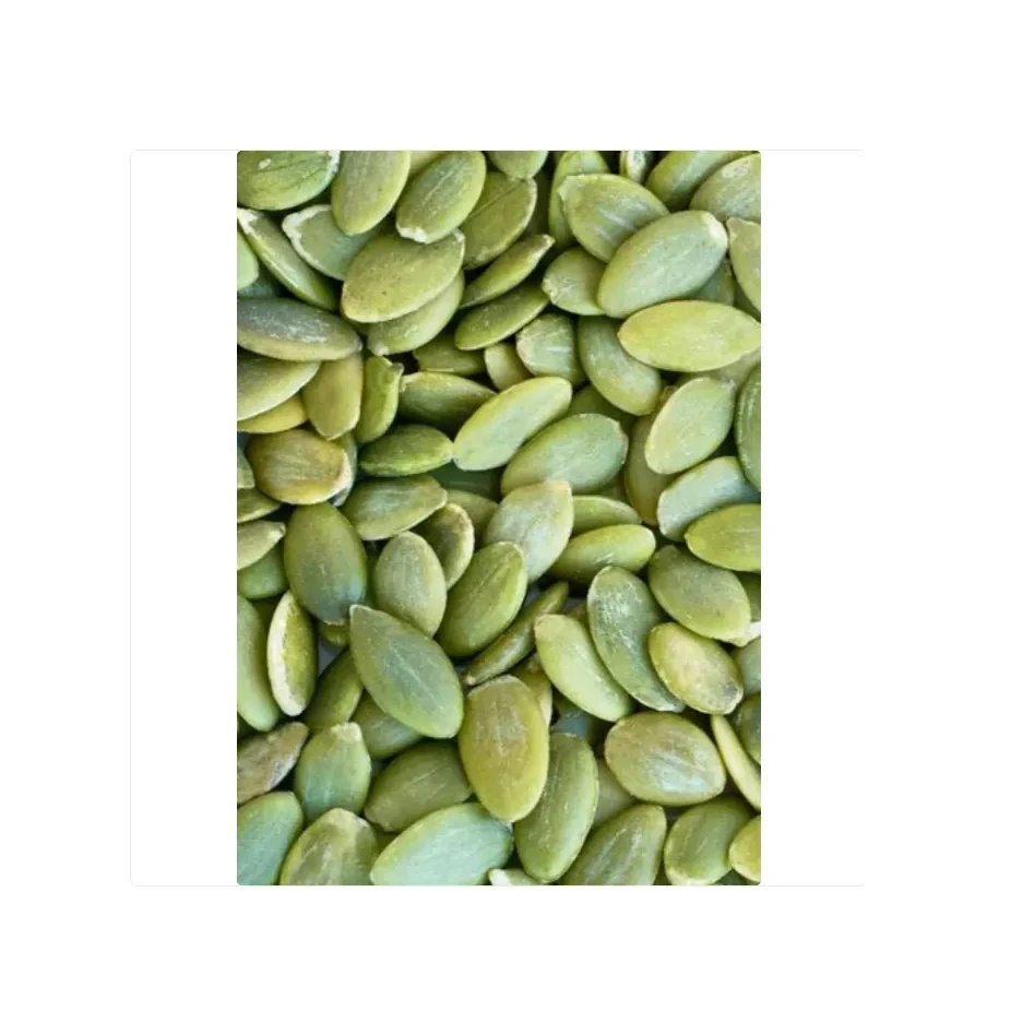 Raw Pumpkin Seeds for Sale In Large Quantity At Wholesale Best Prices