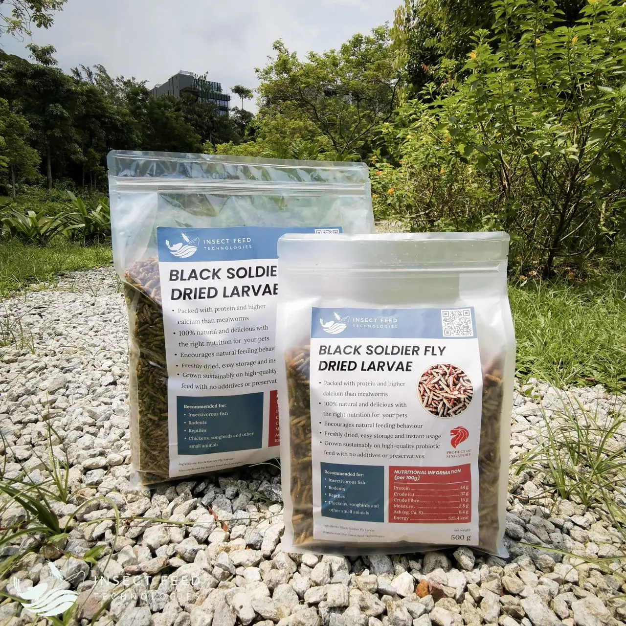 High Quality Organic Animal Feed 500g Black Soldier Fly Dried Larvae with Richness in Protein for Optimal Breeding