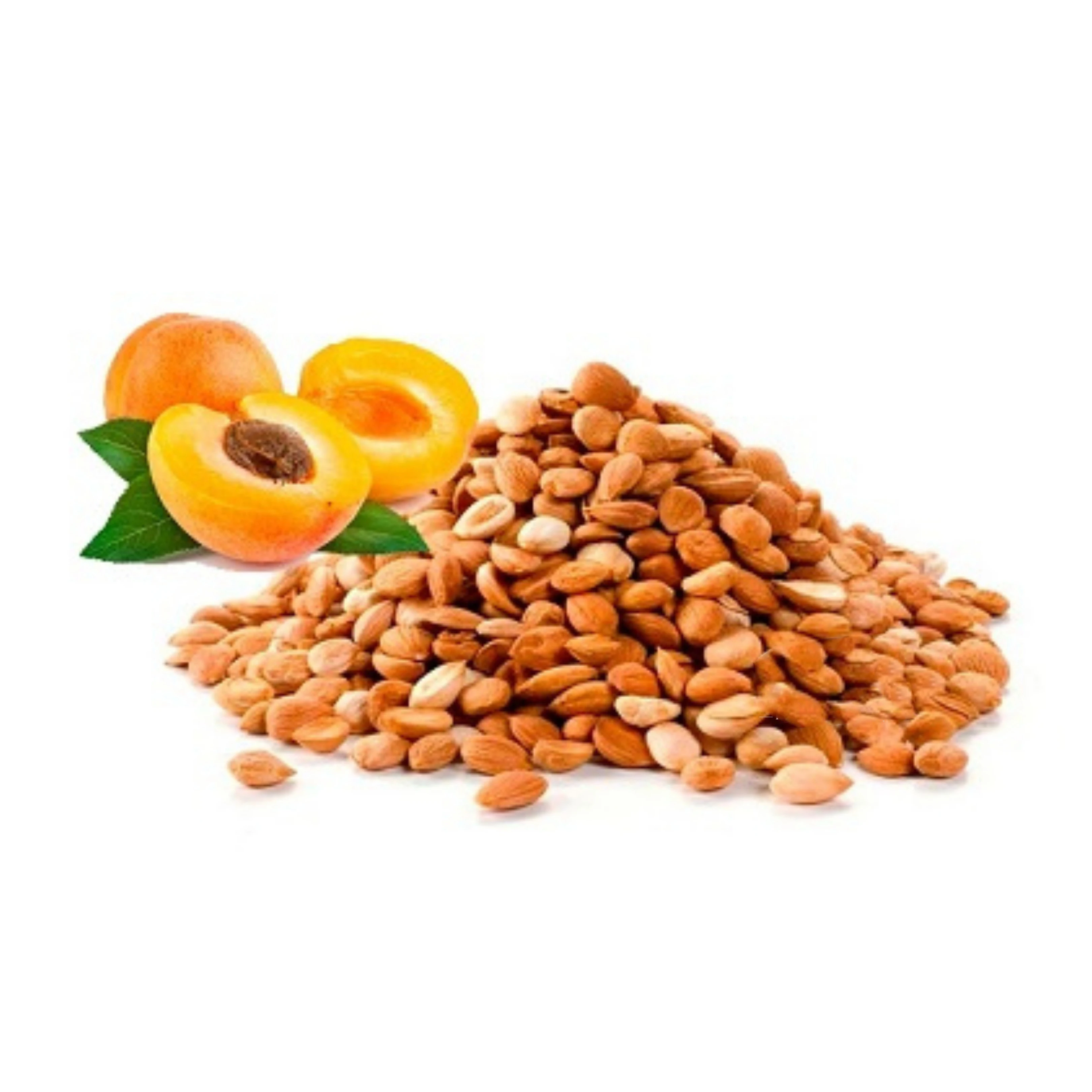 Fast Shipping Dried Raw Apricot fresh apricot kernels