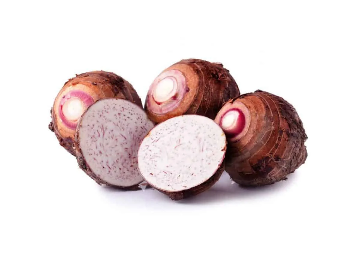 Best Selling 100% Fresh Quality Taro EDDO/  Coco yams / cocoyams /   potato / sweet potatoes