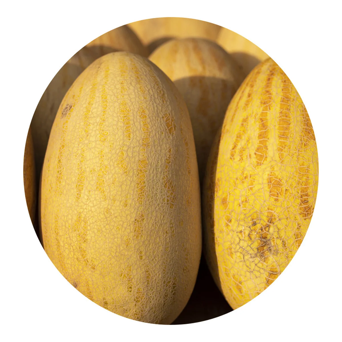 Grown melon for sale own production manufacturer prices