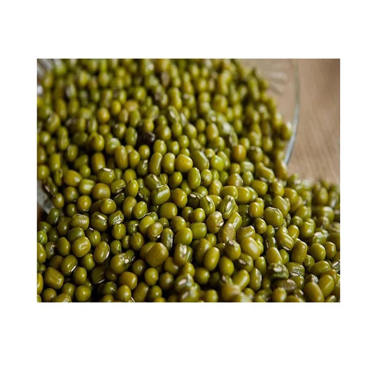 Wholesale High Quality Green Vigna Mung Beans