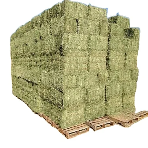 Bulk Top Grade Alfalfa for Animal Feed / Alfalfa Hay from Spain for Export USA