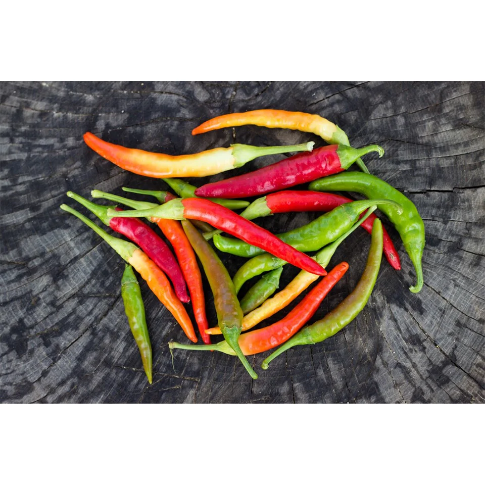 Большой запас, супер горячий свежий красный перец из Вьетнама, надежный поставщик, наши продукты изготовлены из Вьетнамского стандарта зазора