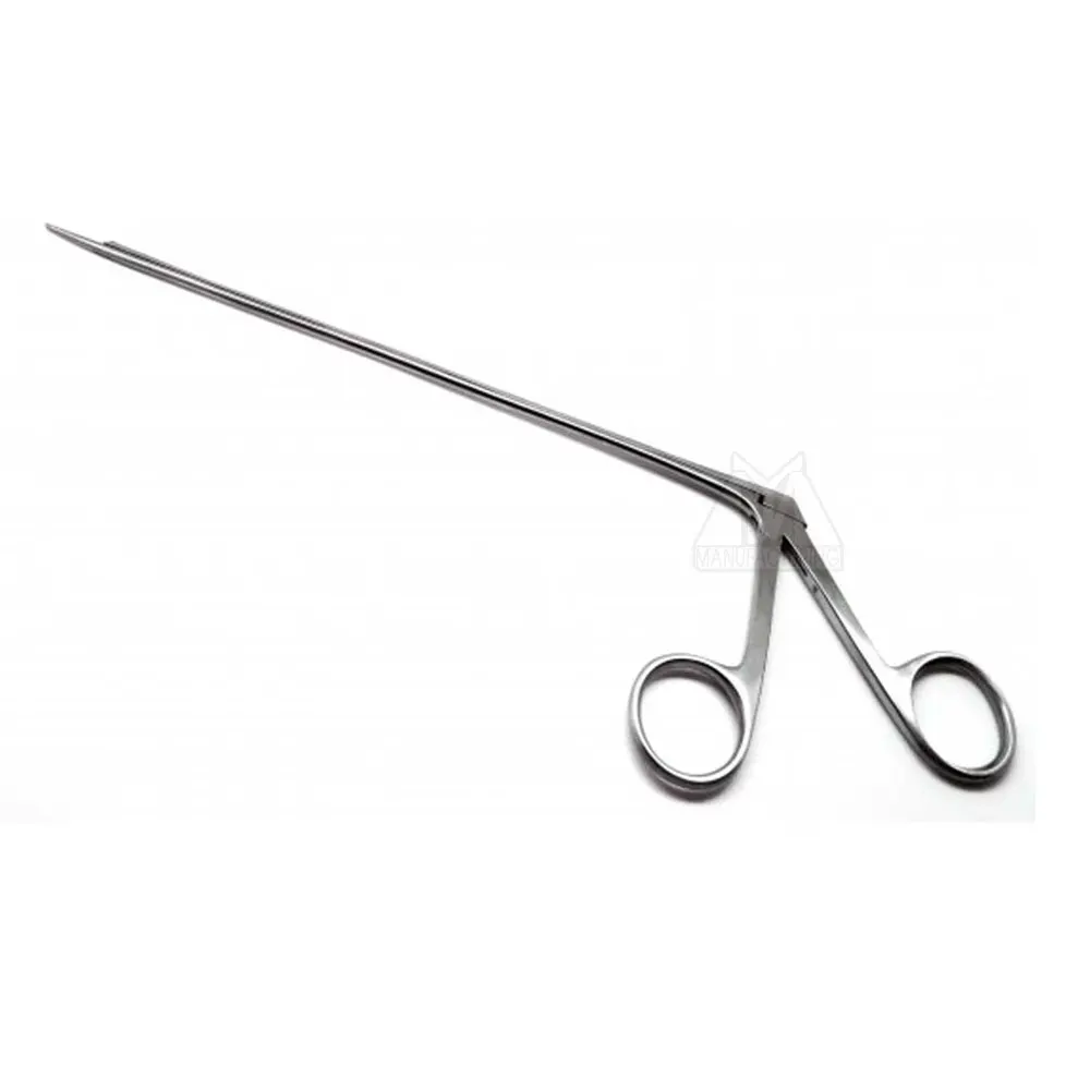 Customized Logo ENT Forceps Professional Design ENT Forceps