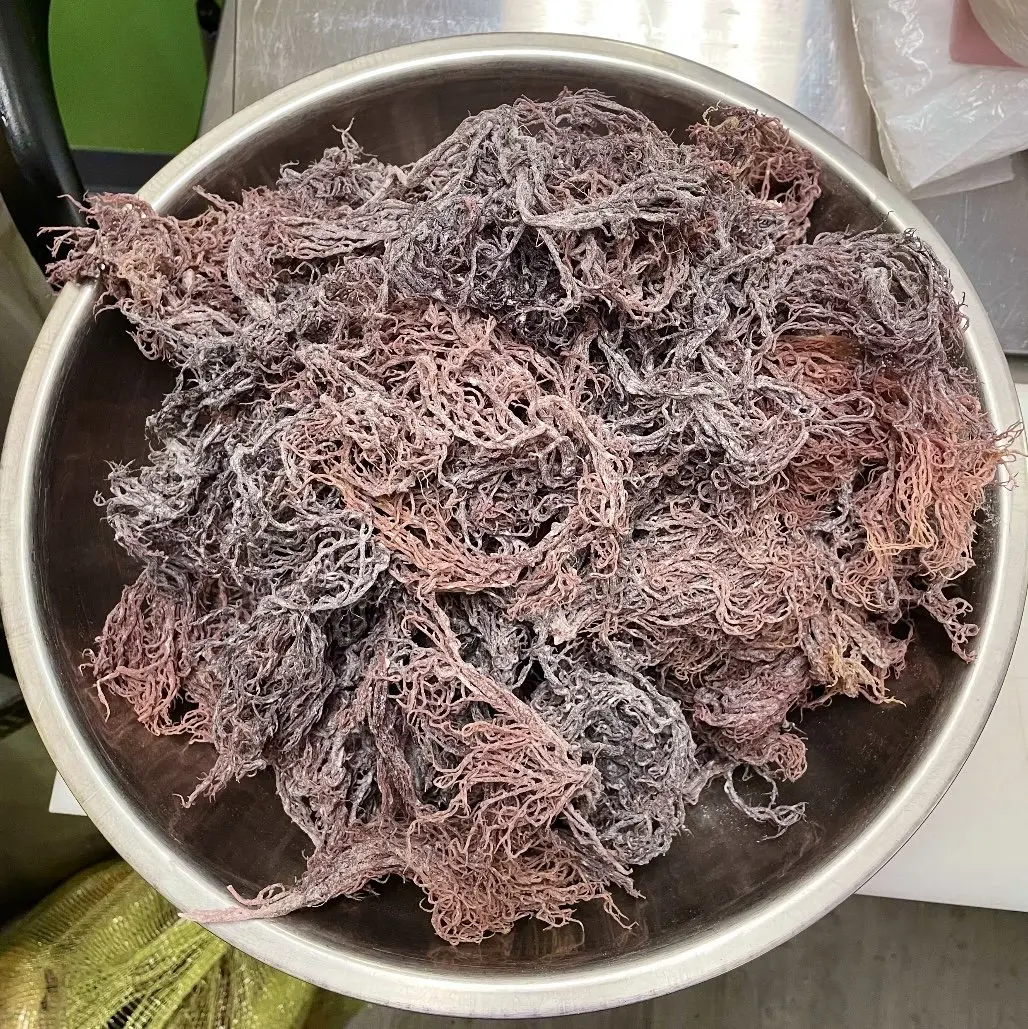 Лидер продаж 2023 товары премиум-класса SEAMOSS // фиолетовый из Вьетнама продукт хорошего качества