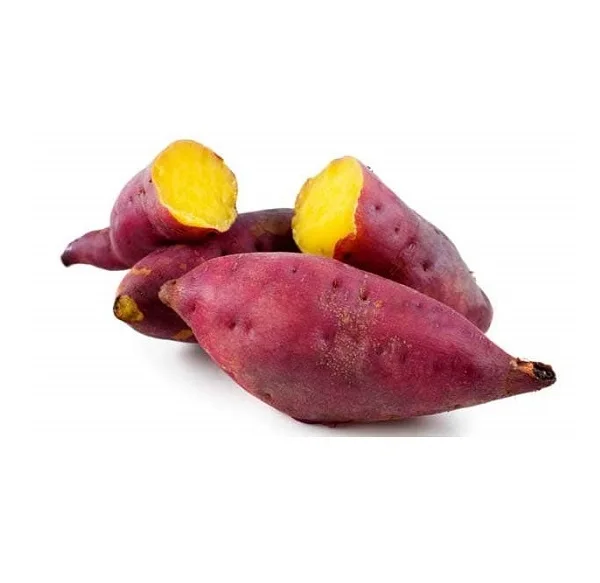 Organic Purple Sweet Potatoes - Fresh, Delicious, and Nutritious - Perfect for Food and Beverage Uses