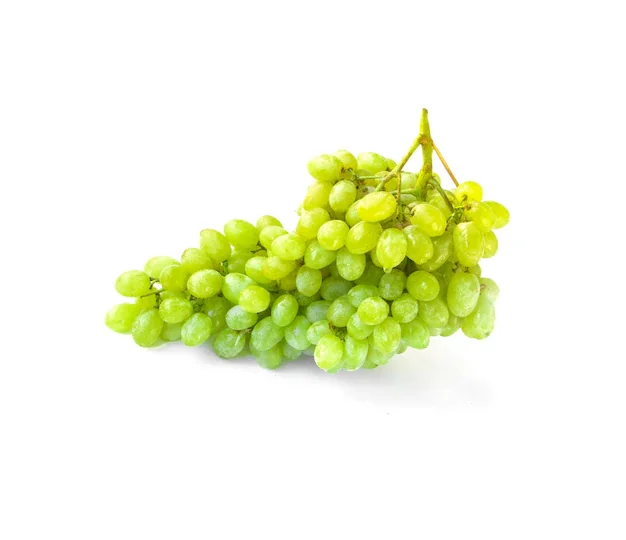 Good Quality Premium Green Grapes with Good Sweet Content and Flavorful Available at Wholesale Price from Indian Exporter