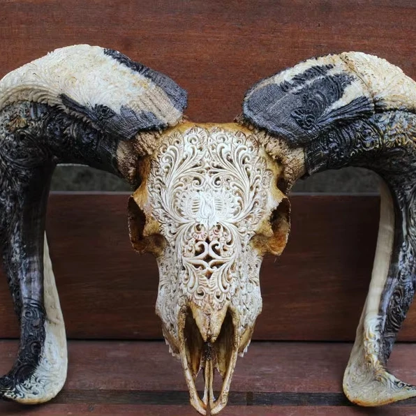 Artful Buffalo Bull & Ram Skull  Hand-Carved with Majestic Horns for Modern Cultural Wall Art and Stand Display