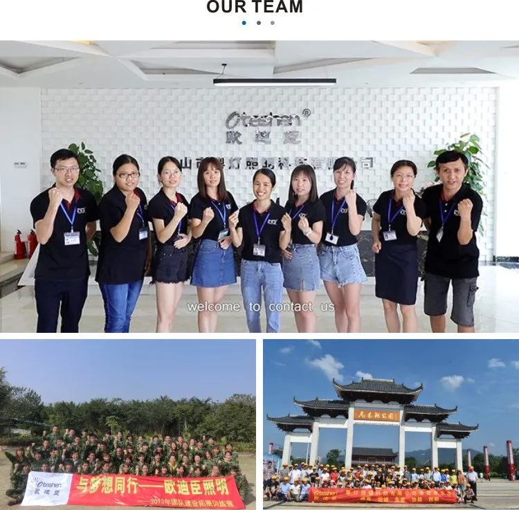 comoany information 2