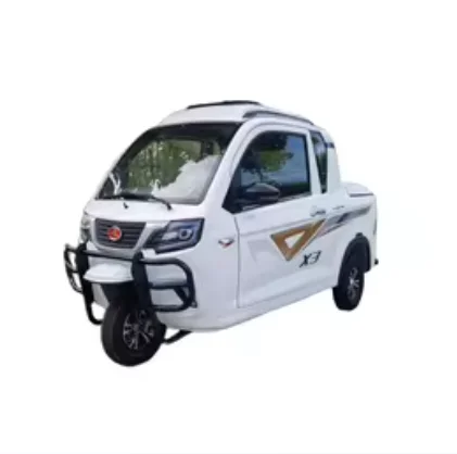 Three-Wheeled Motorized Pickup Truck Passenger & Cargo Tricycle