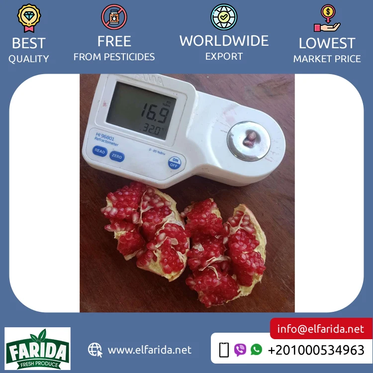 Premium Quality Hot Selling 100% Natural Sweet and Delicious Taste Red Fresh Fruit Pomegranate from Egypt at Low Price