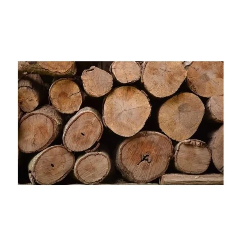 Wholesale Eucalyptus Wood Logs, Year-Round Supply