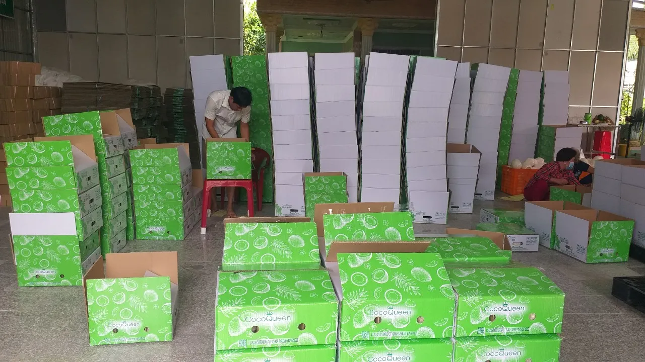 Vietnamese Competitive Price Ready To Drink Easy To Open Polished Coconut Water With Plastic Straw Organic Agricultural Product