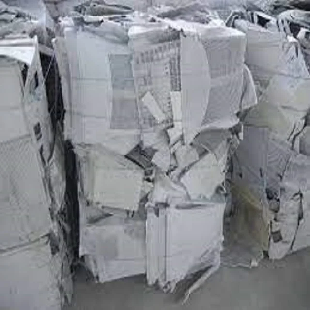 452352582 (4).jpg
