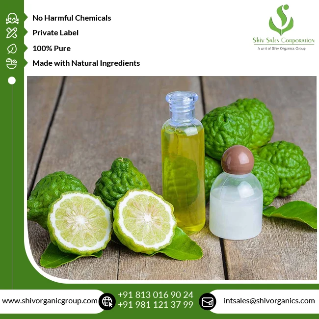 Best Quality Top Selling 100% Natural & Pure Bergamot Essential Oil for Wholesale Buyers