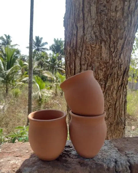 Take Home Tea Cups to Table Top Plant Pots an Innovative Product Hot Sale 2023