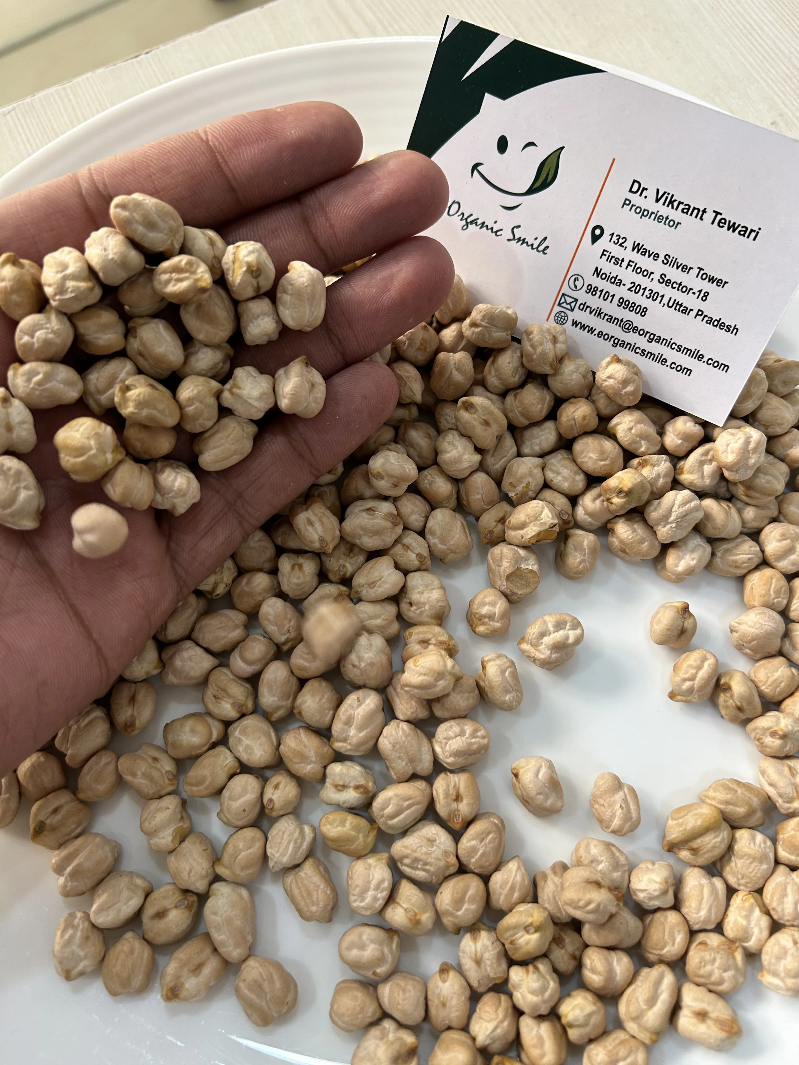 100% Pure Food Grade Kabuli Chana / White Chickpeas Wholesale Price Dried Chickpeas Purchase In Bulk Quantity