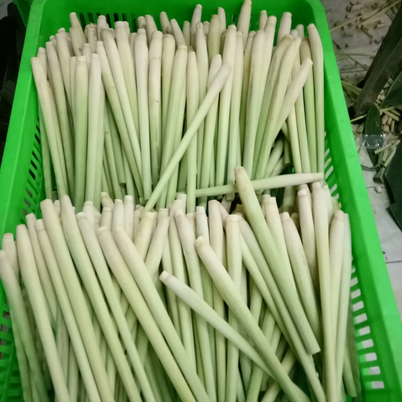 2023 High Quality Vietnam Processed Fresh Harvested Lemongrass For Making Spice With High Export Standards