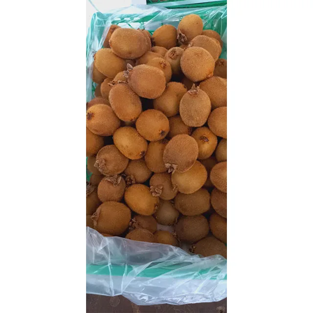 Top Sale Sweet Kiwi Fruit Peeled Frozen Kiwi IQF Export Factory Price Wholesale Egypt Kiwi Fruit Premium Grade