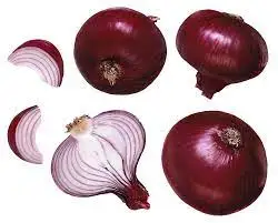 Top  New Session Best Selling Red Fresh Onion From India Manufacturer