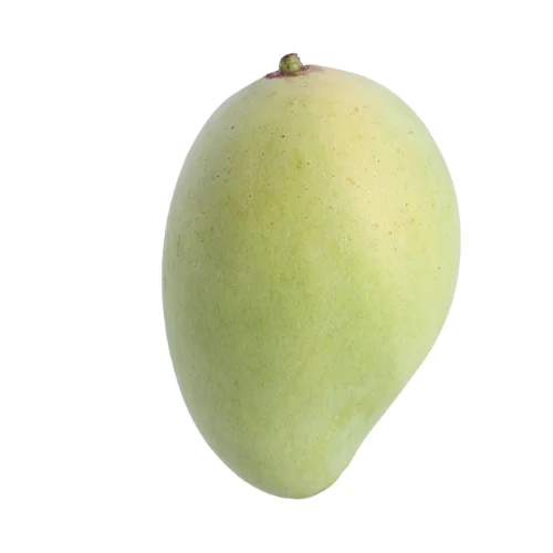 New Arrival 2022 High Quality Fresh Cat Chu Yellow Mango From Viet Nam Ready To Ship