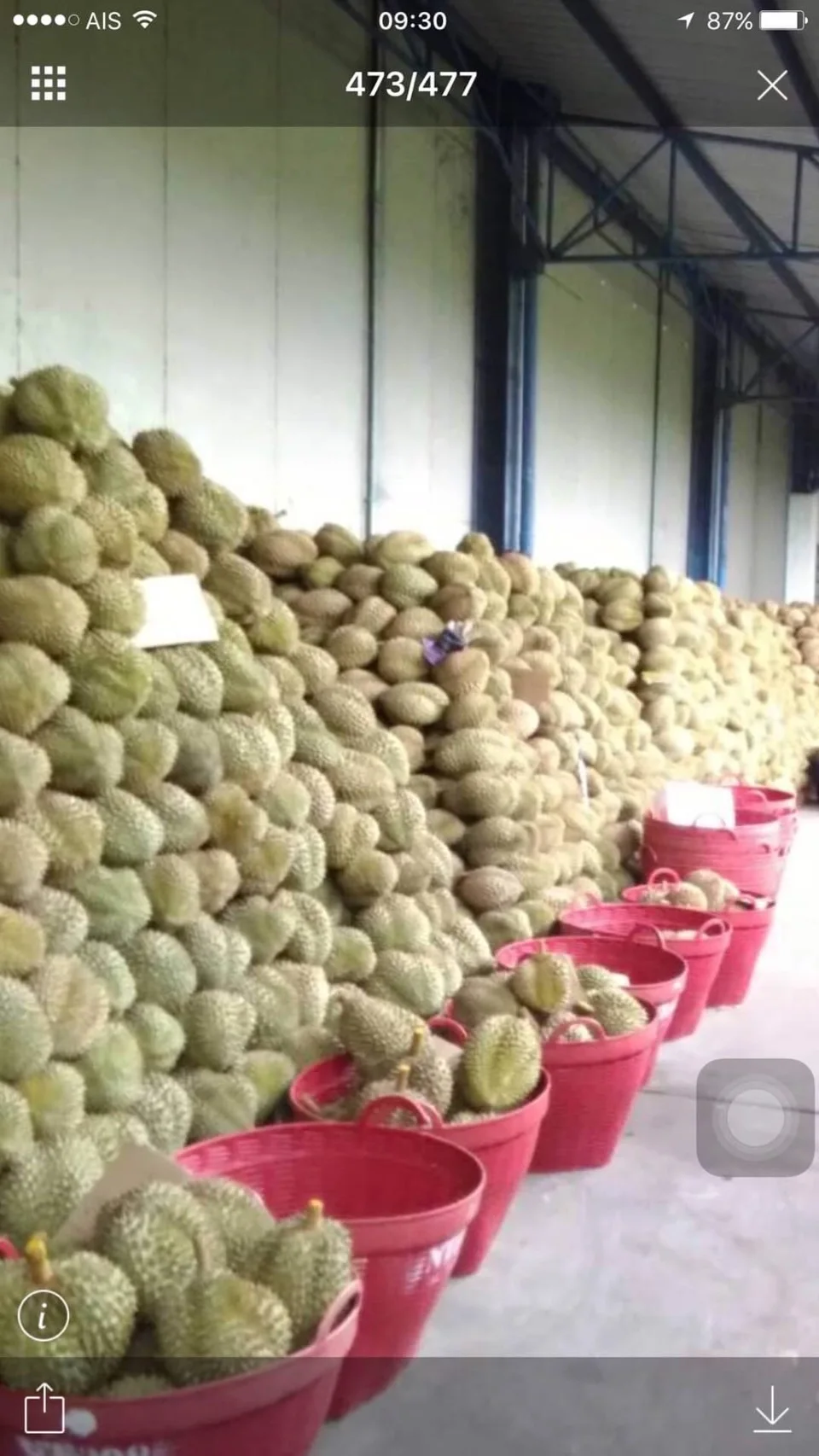 Натуральные Сладкие Замороженные дуриан монтонг дуриан из таиланда высокое качество сушеные заморозки фруктов продукты