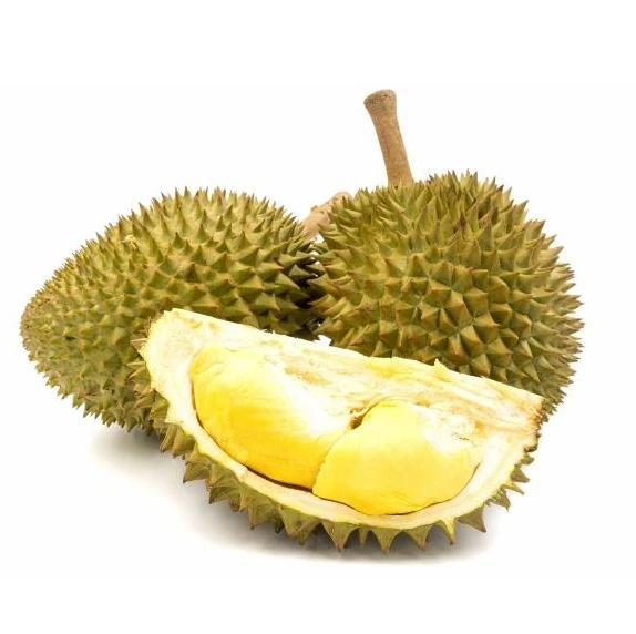 RI6 Durian Made In Vietnam So Fresh Premium Quality Fresh Whole Piece /Frozen Pulp Durian Fruit Monthong New Crop