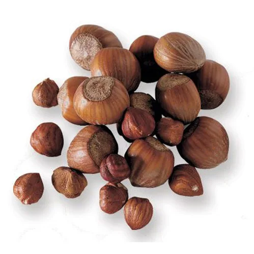 Blanched Hazelnuts/ Hazelnuts Inshell & Kernels/ Organic Hazel Nuts Wholesale Supplier Hazelnuts For Sale In Cheap Price