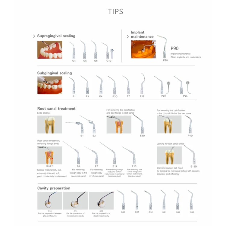 Woodpecker UDS-E LED High Quality Dental Ultrasonic Scaler with Detachable Handpiece and Tips Suppliers
