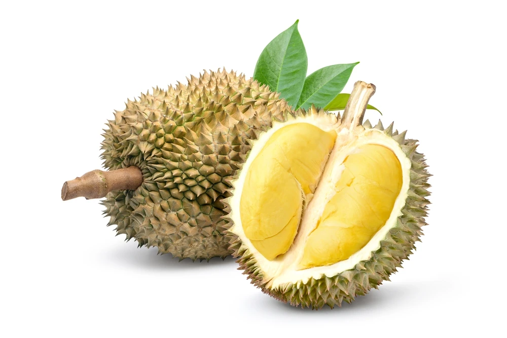 100% High Quality Fresh Delicious Vietnam Durian and Feeeze Durian