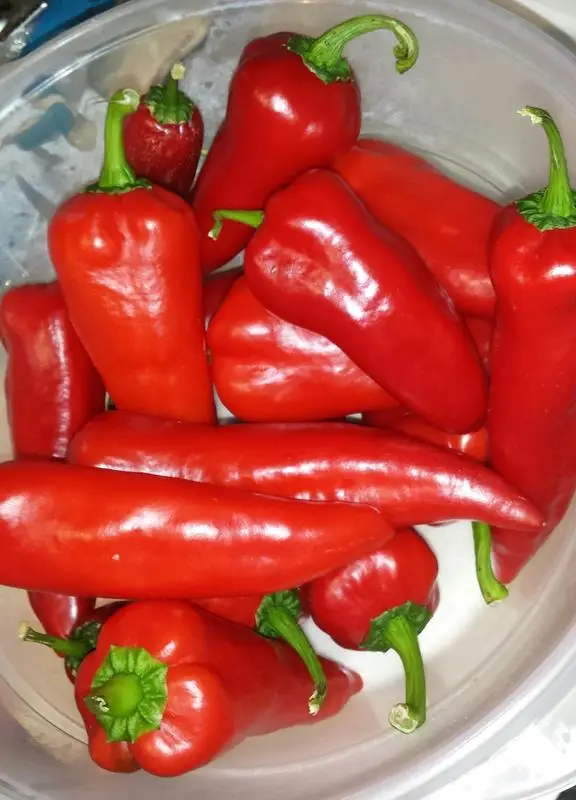 Fresh Red Chilli Pepper/ Dried Chili Seasoning Mixed Spices