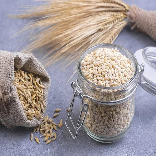 Barley Grains Premium Barley Seeds/Animal feed barley/bulk stocks ready for exports