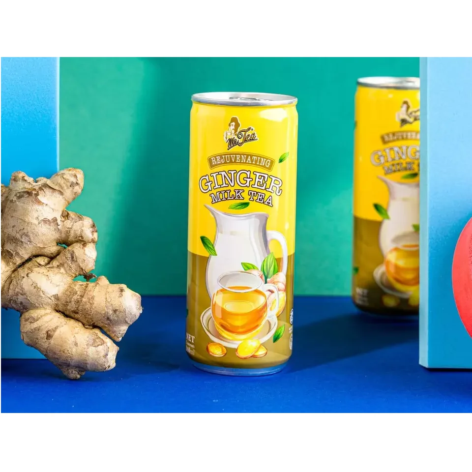 Natural Ginger Flavor Energize Blended Instant Bulk MR TEA Ginger Milk Tea 240ml x 24c from Malaysia