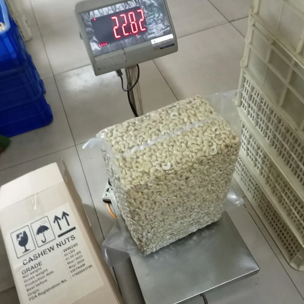 Vietnam Cashew Nuts Kaju Badam Snack Cashew Nut Processing Machine Low MOQ Whatsapp +84931697868