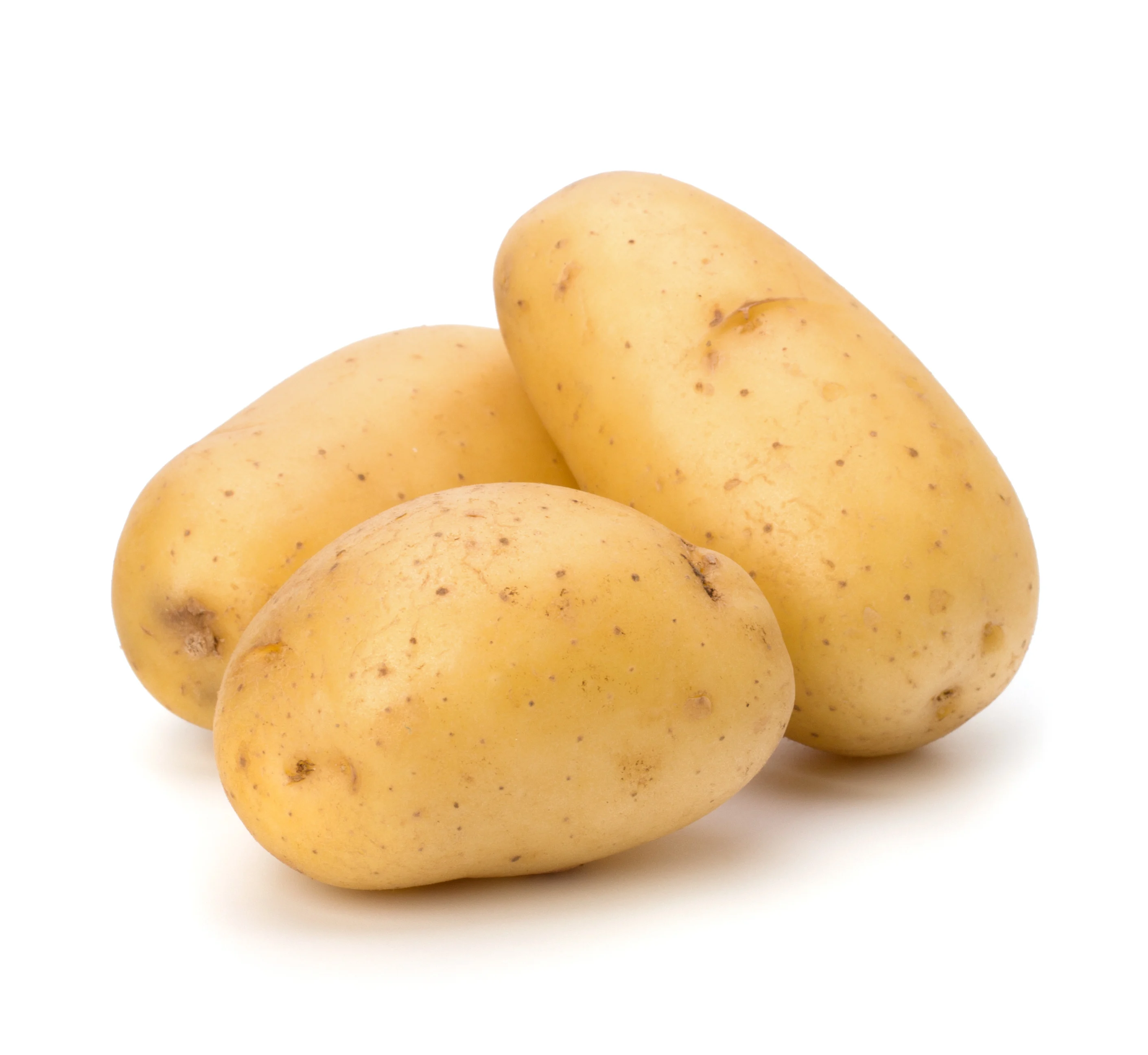 export potato 2022 new fresh Potato fresh with high quality new crop per ton good price for wholesale fresh potato professional