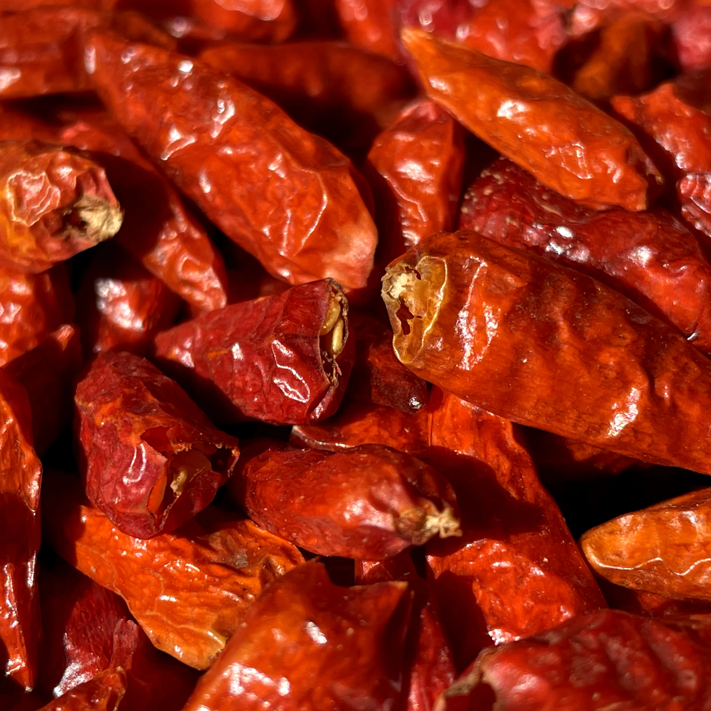 Hot Red Dried Chili Peppers Freshly Dried for Traditional Asian Cooking Box and Bag Packaging for Soups and Curry