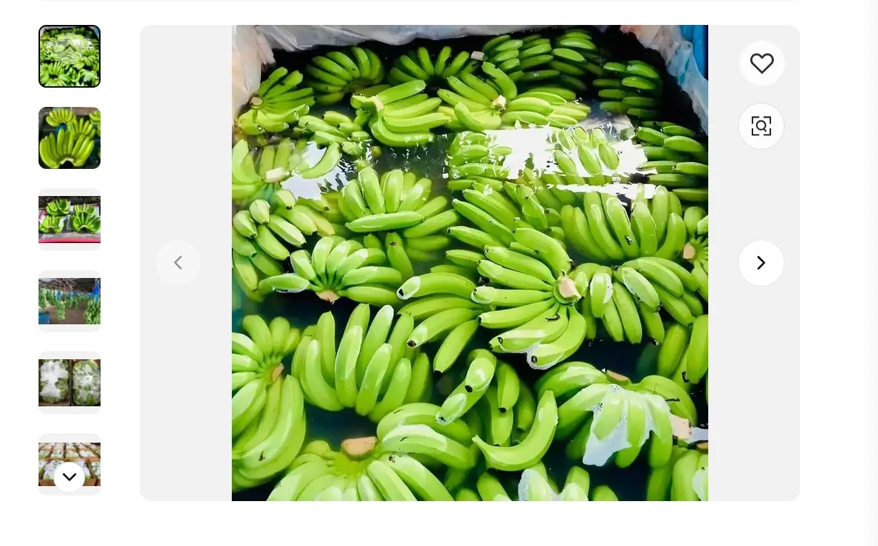 Banana Green Tropical Fruit Fresh Style Ready To Export 100% Natural Organic Food Wholesale From Vietnam Manufacturer