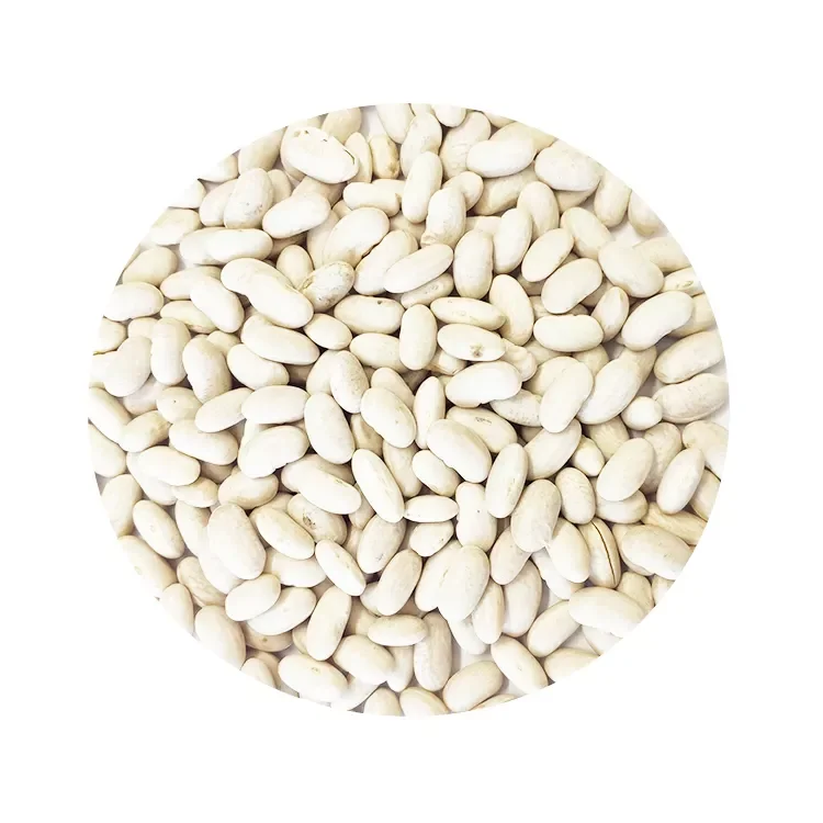 All Size Red and White Kidney   Beans