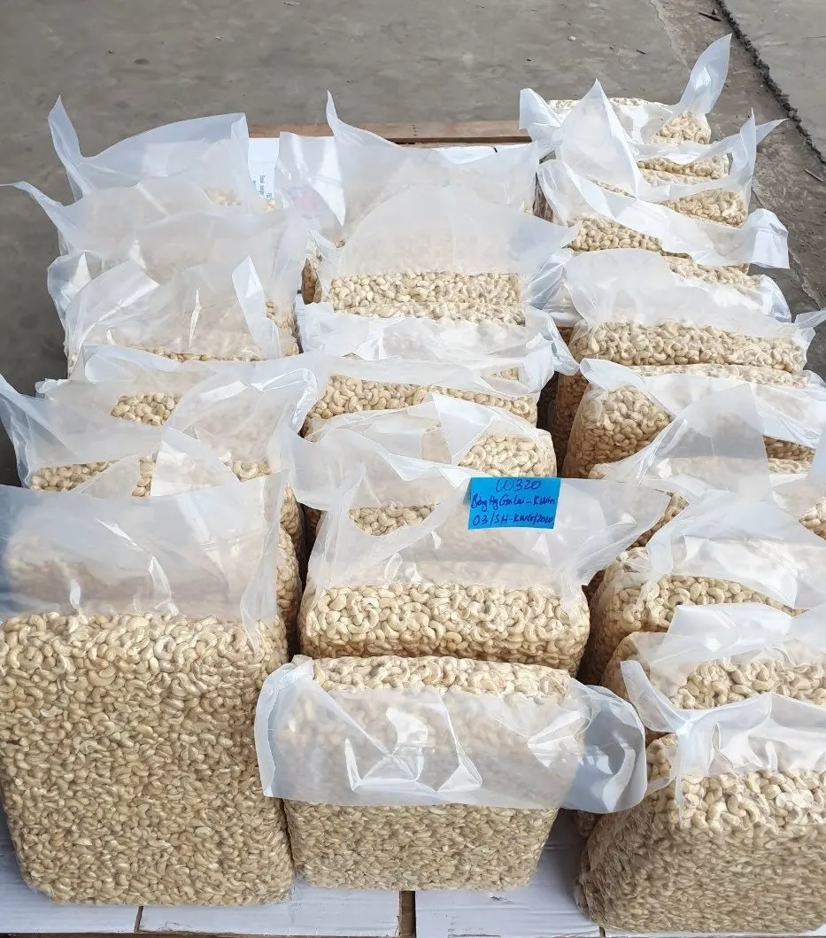 PRODUCT FOR EXPORT - VIETNAM CASHEW NUTS HIGH QUALITY GOOD PRICE W240,W320, WS, LP, SP...OF DHFVN MANUFACTURE