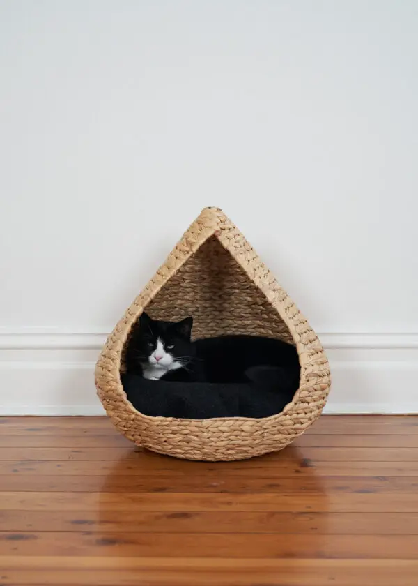 Basic design Wholesale Lotus shaped Natural fibre water hyacinth Cute pet bed Pet Tent House for cat and dog small pet