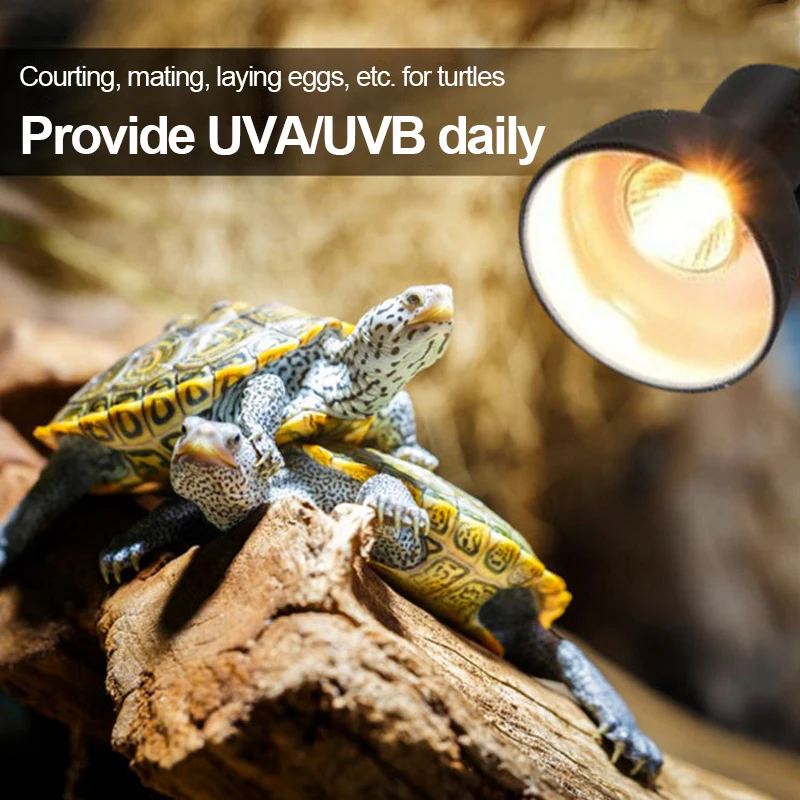 Hot product E27 reptile pet habitat heat lamp reptile lamp adjustable set with black clip-on bulb lamp holder