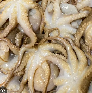 Frozen baby octopus