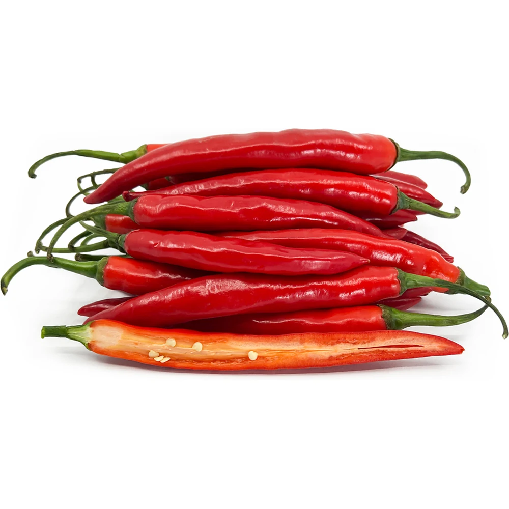 Fresh Chilli Agricultural Products Organic Products Chili Manufacturer Using For Food Daily Made In Vietnam