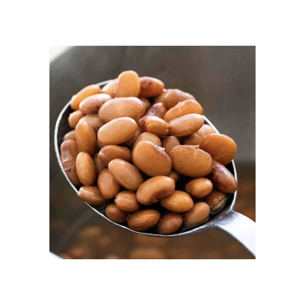 Long Shape Pinto Beans--2023 New Harvest