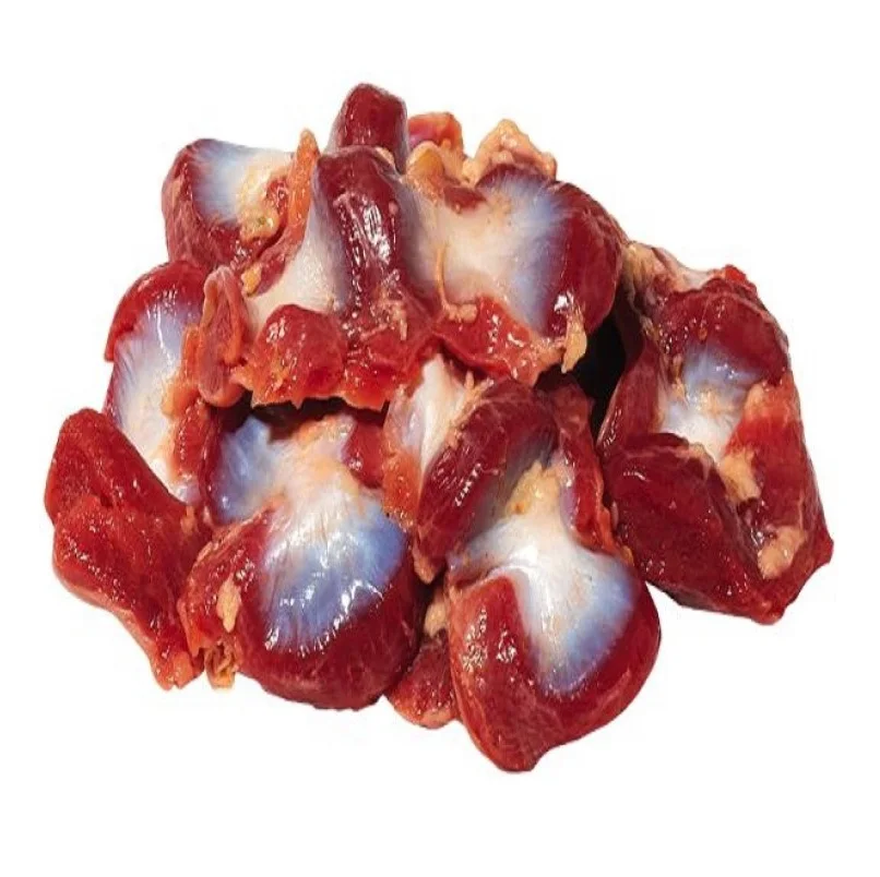 Bulk sale frozen chicken Gizzard/ Chicken Available