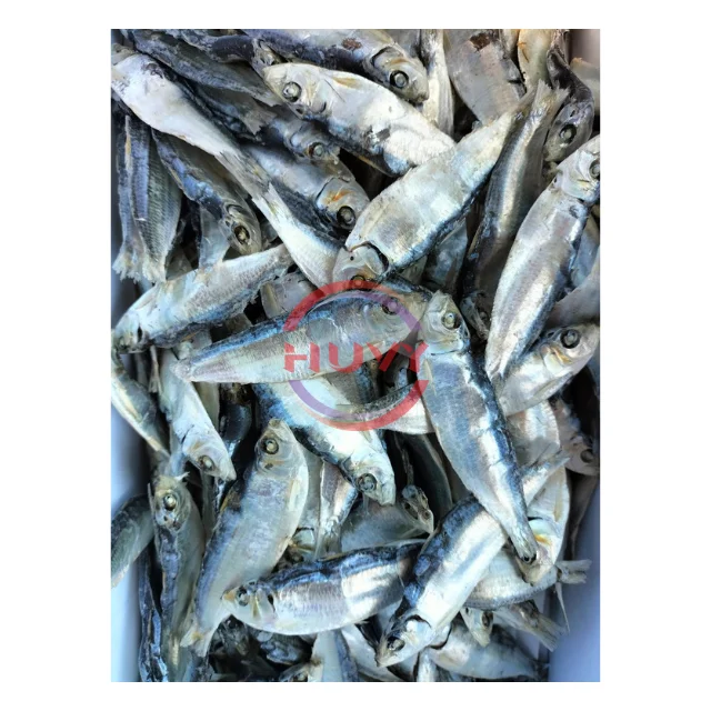 Wholesale Indian Mackerel Nature Fast Delivery Herring Fish Dry Herring Sea Food Factory Price OEM Service Made In Vietnam