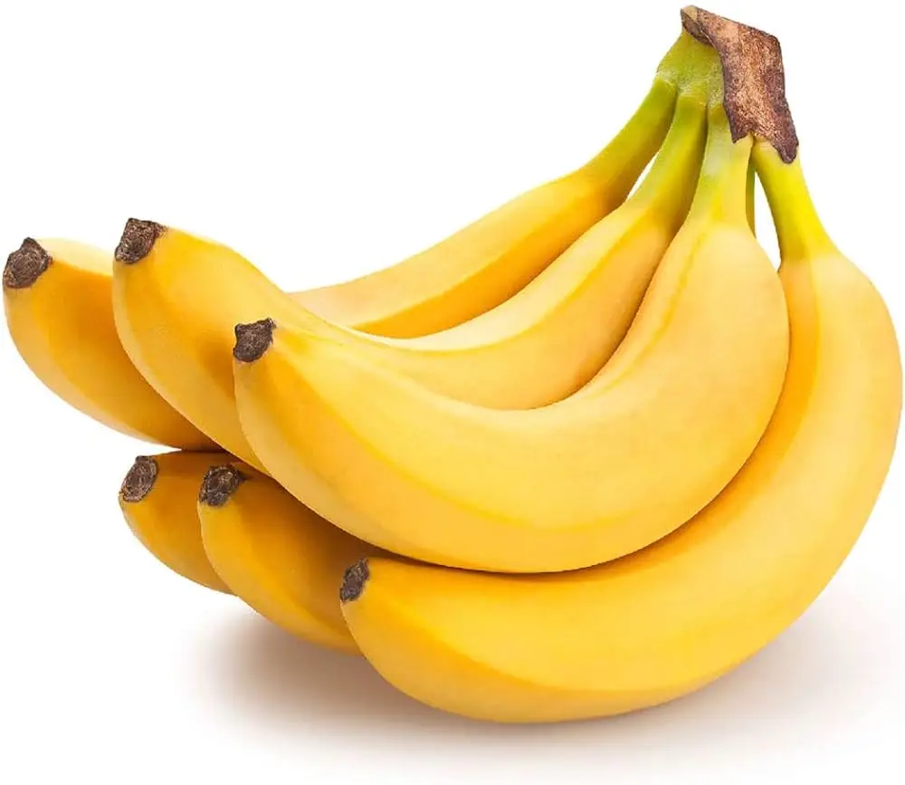Свежие кавендишские бананы Ecuador высокого качества и вкусно