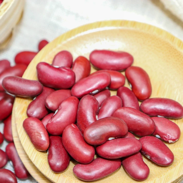 Kidney Beans 2023 New Crop Red Kidney Beans Price
