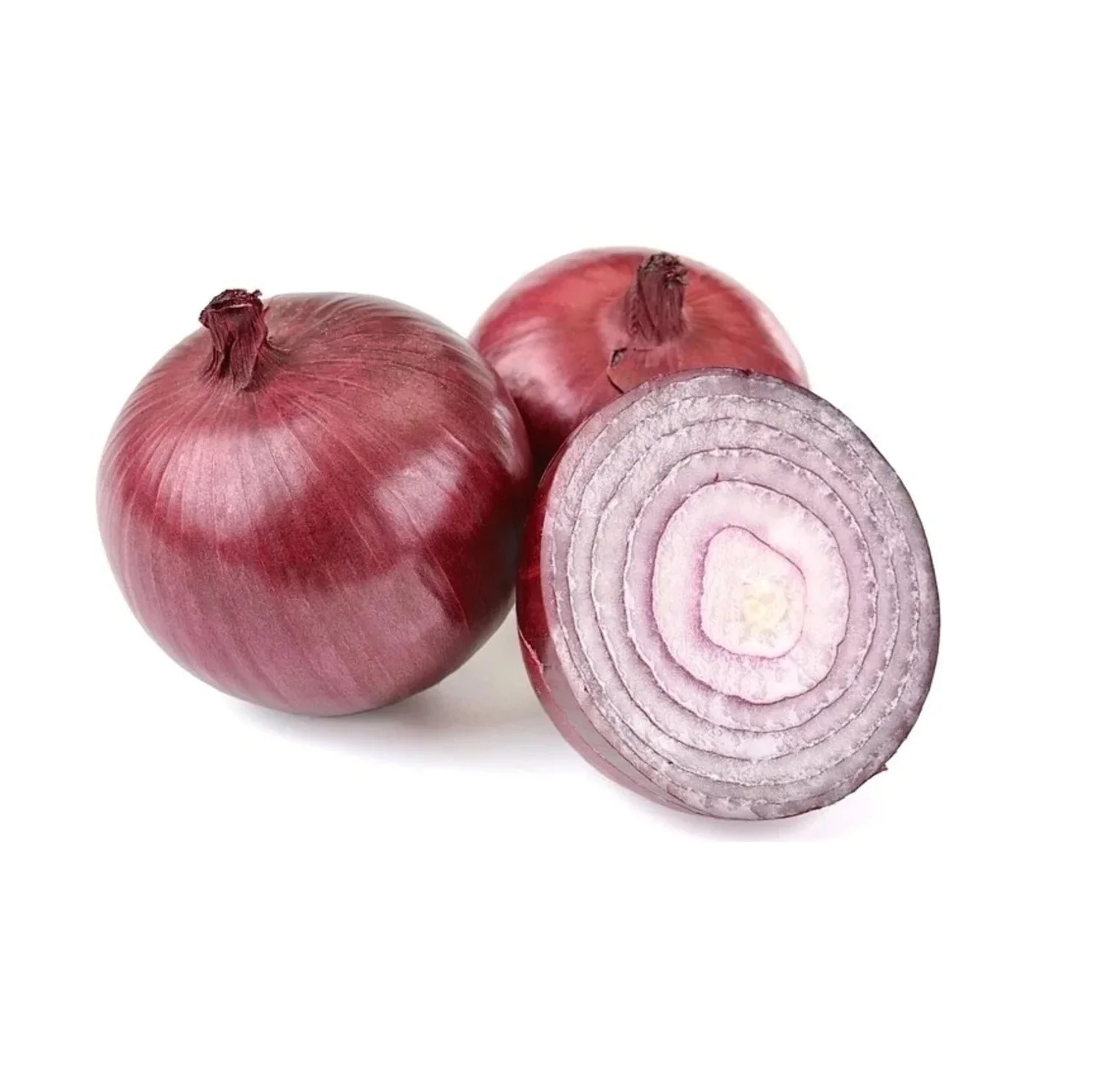 Food Grade High Quality Fresh Red Onion for Multipurpose use Red Onion from Indian Supplier for Sale